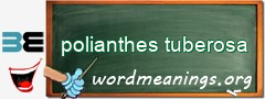 WordMeaning blackboard for polianthes tuberosa